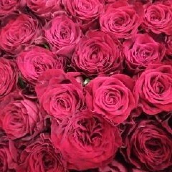 画像1: 【男の花贈り】赤バラ１２本の花束 (1)