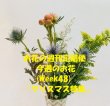 画像2: お花の週刊定期便（お届け・月2回コース） (2)